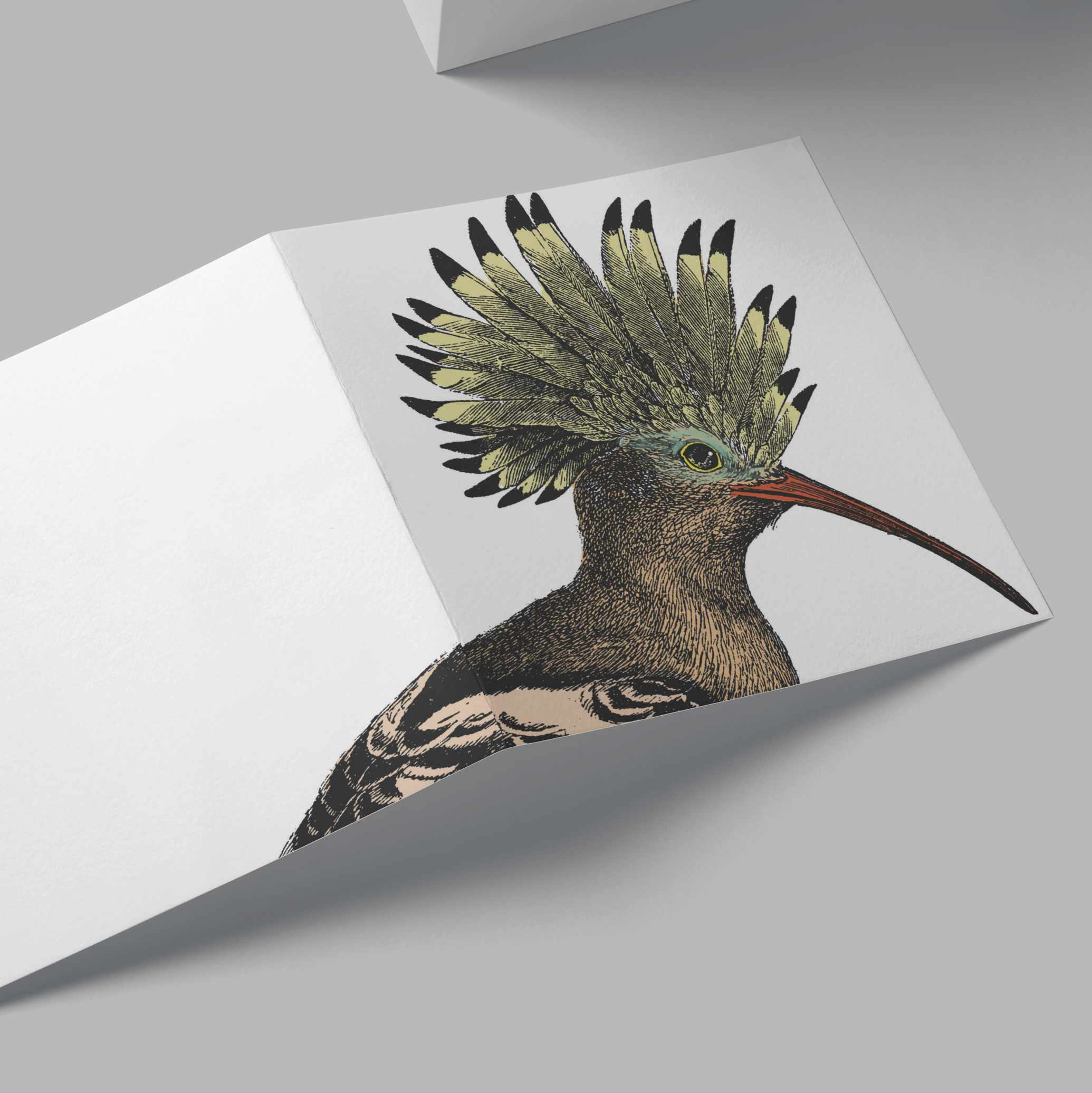 Hoopoe Card